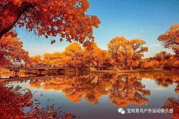 救援顽皮小猴